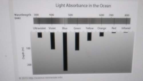 What color light would most likely be present at 200 meters below sea leveland why