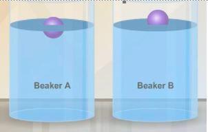 Identical objects are placed in beaker a and beaker b. the objects float as shown in the diagram. wh