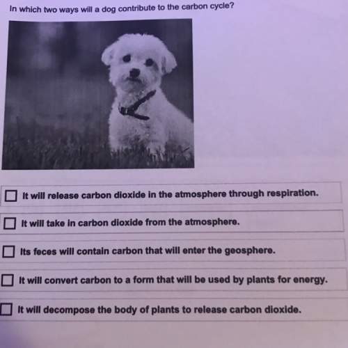 In which two ways will a dog contribute to the carbon cycle?