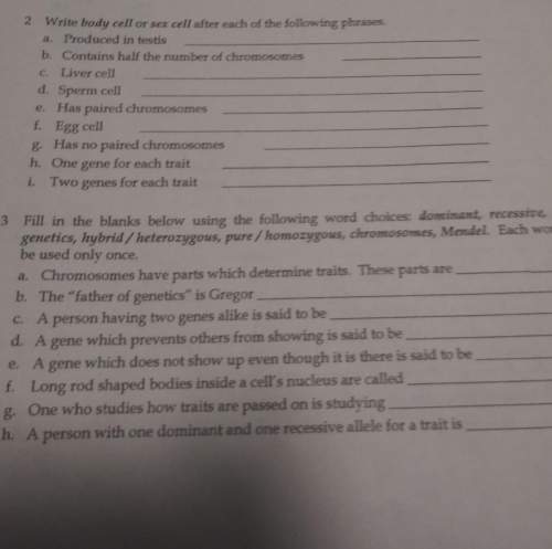 Plz me its due tommorow and i have no fn idea what im doing