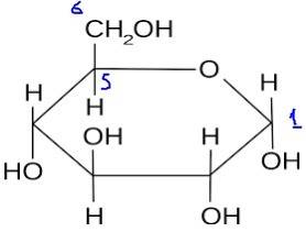Draw two structures (one straight chain and one ring) of a carbohydrate with the chemical formula (c