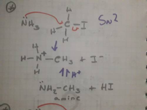 Draw the product of nucleophilic substitution with each neutral nucleophile. when the initial substi