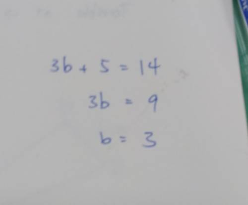 3. 3b + 5 = 14 what is the answer