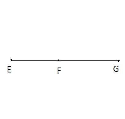 If ef - 3x - 11, fg = 4x-10, and eg - 28, find the values of x, ef, and fg. the drawing is not to sc