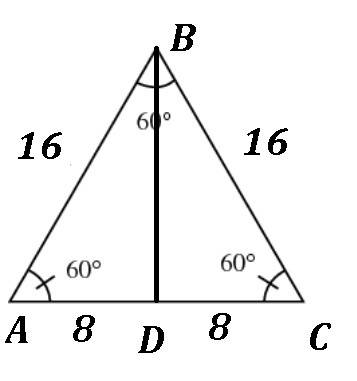 Triangle mno is an equilateral triangle with sides measuring 16 units what is the height of the tria