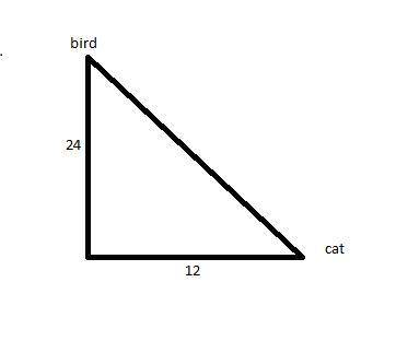 Abird sits at the top of a 24 foot tall tree. the bird is seen by a cat which is standing 12 feet aw