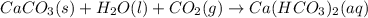 CaCO_3 (s) + H_2O (l) + CO_2 (g) \rightarrow Ca(HCO_3)_2 (aq)