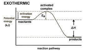 Which statement is true about the potential energy diagram for an exothermic reaction?  the products