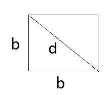 The area of a square is 144 square centimeters. find the length of the diagonal. write your answer i