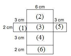 What is the surface area of the geometric figure that can be formed by the net?  (image) a. 36 cm2 b