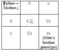 Will give  cystic fibrosis (cf) is an autosomal recessive disease. jane and john do not have cf but