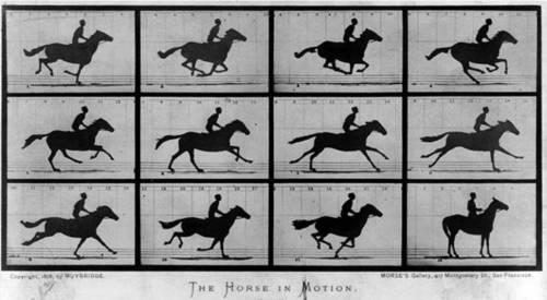 The artist eadweard muybridge was revered for his work because he set up a system of trip-wires that