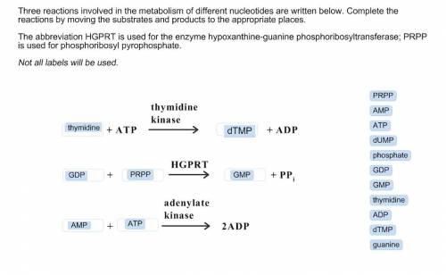 Three reactions involved in the metabolism of different nucleotides are written below. complete the