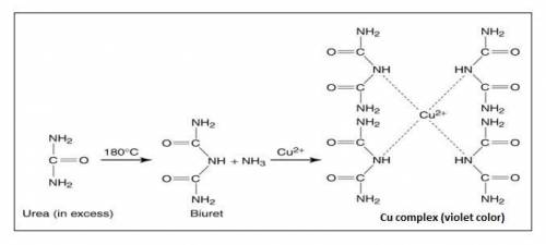 Which explains the basis of the biuret test?  a. under base conditions, copper ions bind to the amin