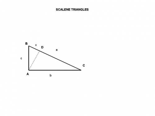 Omar is setting up a proof of the pythagorean theorem. he draws a scalene right triangle and plans t