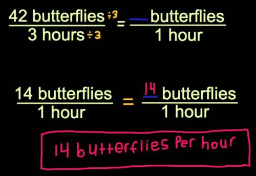 If 42 butterflies were seen in 3 hours at that rate how many butterflies were seen per hour