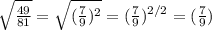 \sqrt{\frac{49}{81}}=\sqrt{(\frac{7}{9})^{2}}={(\frac{7}{9})^{2/2}}={(\frac{7}{9})}
