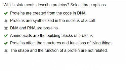Which statements describe proteins?  check all that apply. a.) proteins are created from the code in