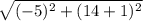 \sqrt{(-5)^2+(14+1)^2}