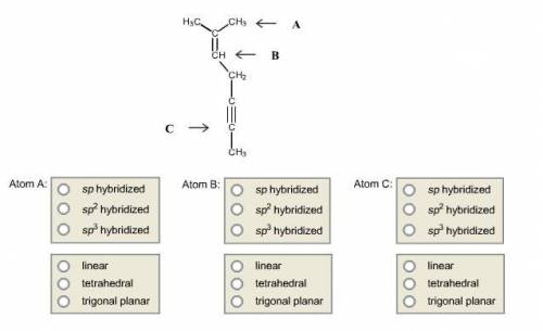 Determine the hybridization and geometry around the indicated carbon atoms.