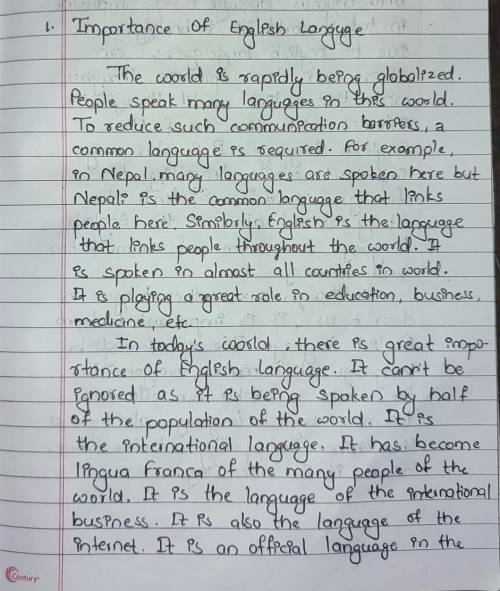 How to write an informative essay on the importance of the english language