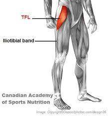In order to most effectively target the tensor fascia latae (tfl) while standing, a client's back le