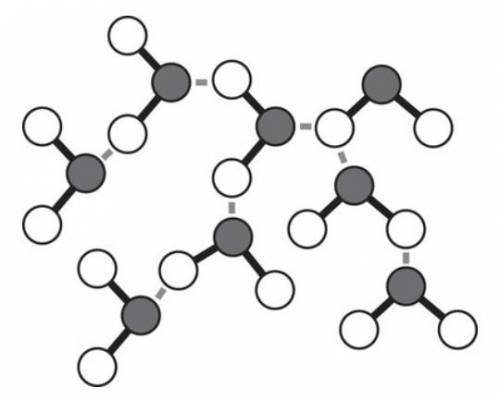 The model shows water molecules interacting. the gray circles represent oxygen, the white circles re
