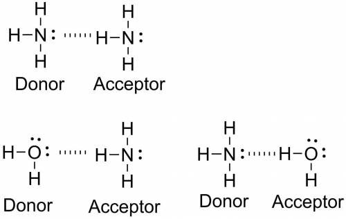 Depict the hydrogen bonding between two ammonia molecules and between one ammonia molecule and one w
