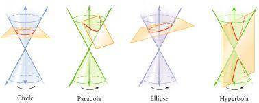 What is the shape of the cross section taken perpendicular to the base of a cone?  (1 point)