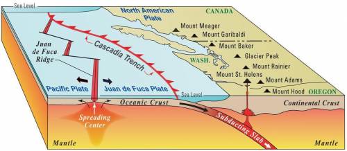 The compressional movement of plate boundaries, such as observed at the juan de fuca plate, is repre