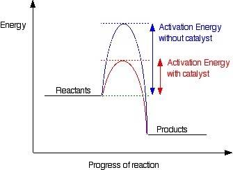 How do catalysts increase the rate of a chemical reaction?  they lower the activation energy. they l
