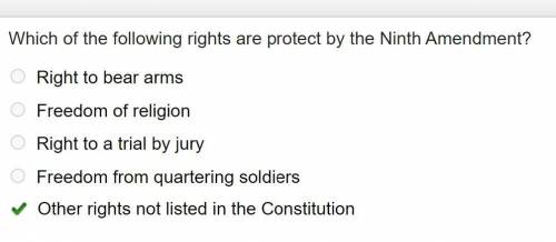 Which amendment protects any rights that are not specifically mentioned within the constitution or t