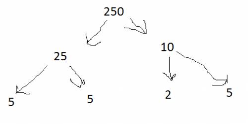 Make a factor tree to find the prime factorization of 250