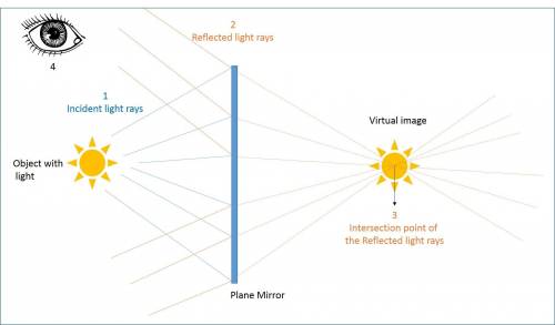Which of the following sets of characteristics describes the image formed by a plane mirror? a. virt