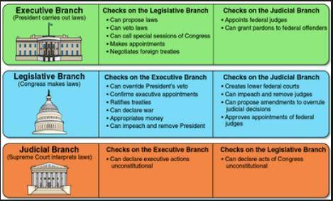 Which role does the legislative branch play within the system of checks and balances in the federal