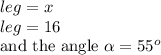 leg=x\\leg=16\\\text{and the angle}\ \alpha=55^o