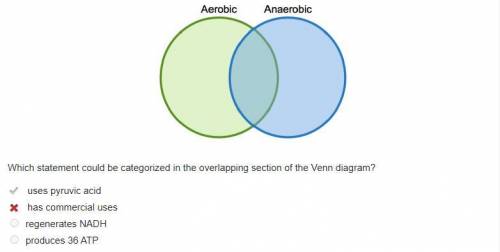 Choose the statement that could be categorized in the overlapping section of the venn diagram. a. us