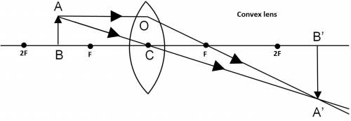 Aray diagram shows an object placed between 2f and f of a convex lens. the image produced is a.) sma