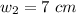 w_ {2} = 7 \ cm