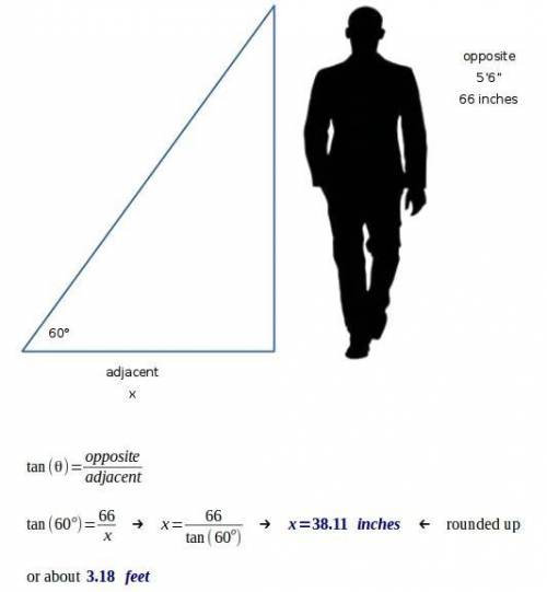 A5'6 person walking down the street notices his shadow. if the angle of elevation from the tip of t