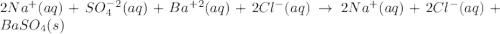 2Na^+(aq)+SO_4^-^2(aq)+Ba^+^2(aq)+2Cl^-(aq)\rightarrow 2Na^+(aq)+2Cl^-(aq)+BaSO_4(s)