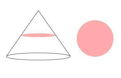 What shape is the cross section formed by the intersection of a cone and a plane parallel to the bas
