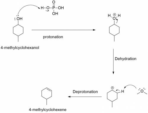 Outline a mechanism for the dehydration of 4-methylcyclohexanol catalyzed by phosphoric acid