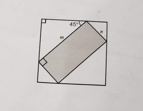 Give an explanation to go with your answer! a rectangle is placed symmetrically inside a square. th