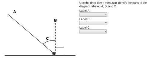 Use the drop-down menus to identify the parts of the diagram labeled a, b, and c.
