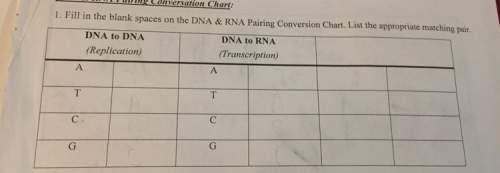 Fill in the blank spaces on the dna &amp; rna pairing conversion chart ( )