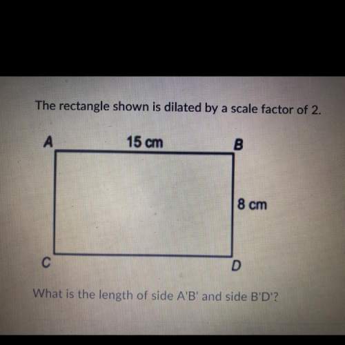 The rectangle shown is dilated by a scale factor of 2. what is the length of side a’b’ and side b’d’