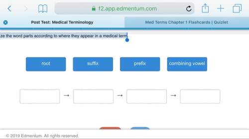 Organize the word parts according to where they appear in a medical term.