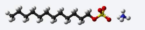 (98 ) ill mark brainliestdescribe the structure of ammonium lauryl sulfate. refer to the given diagr