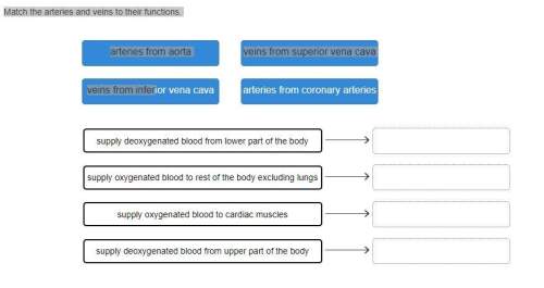 A.arteries from aorta b.veins from superior vena cava c.veins from inferior vena cava darteries from